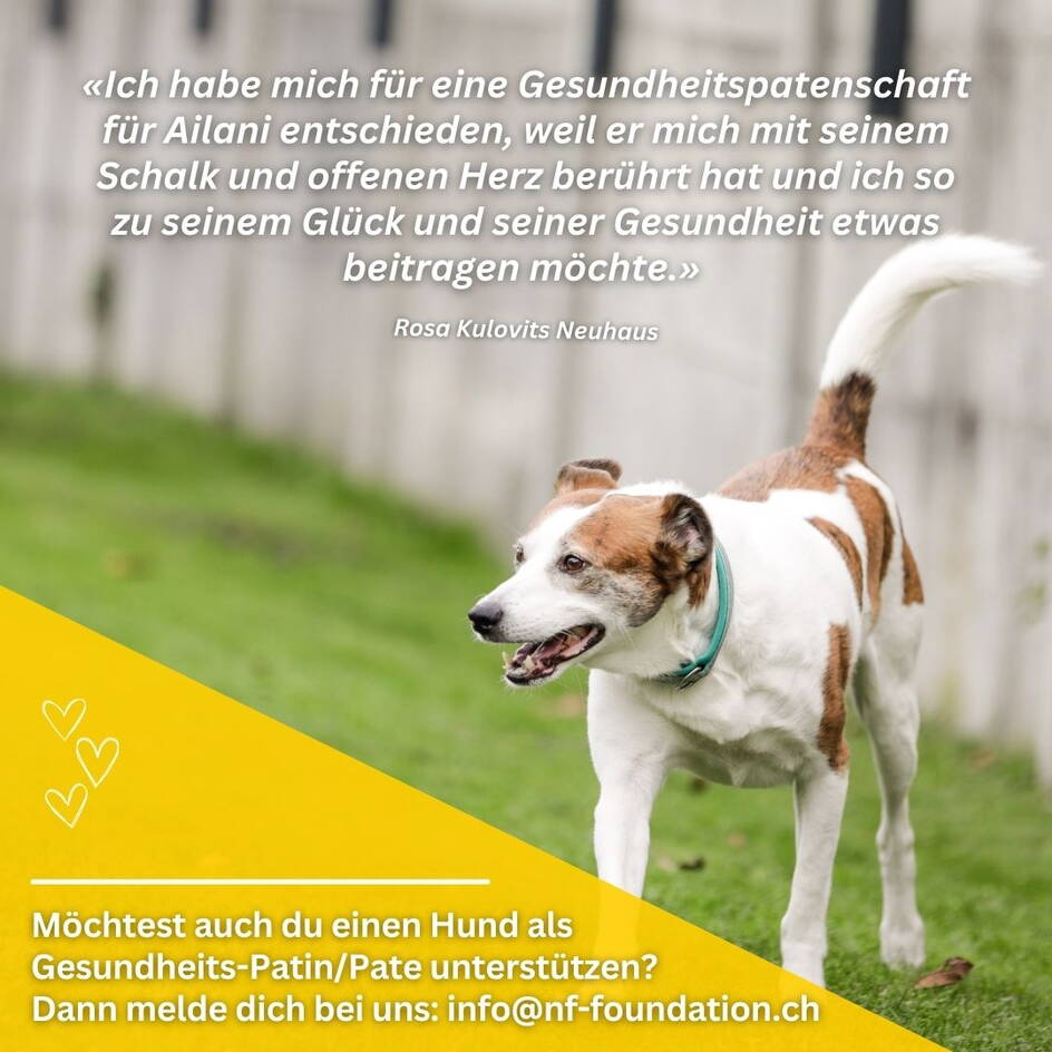 gesundheitspatenschaft_ailani.jpg gesundheitspatenschaft_ailani.jpg