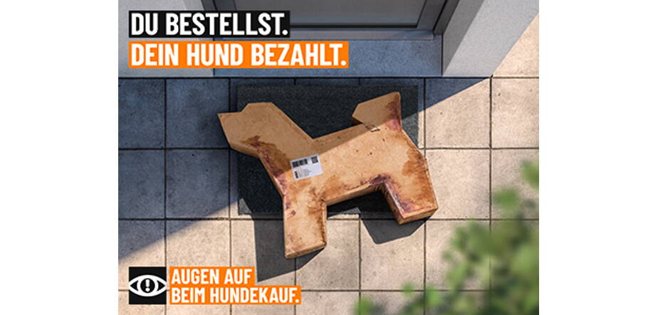 Illegaler Hundehandel Illegaler Hundehandel