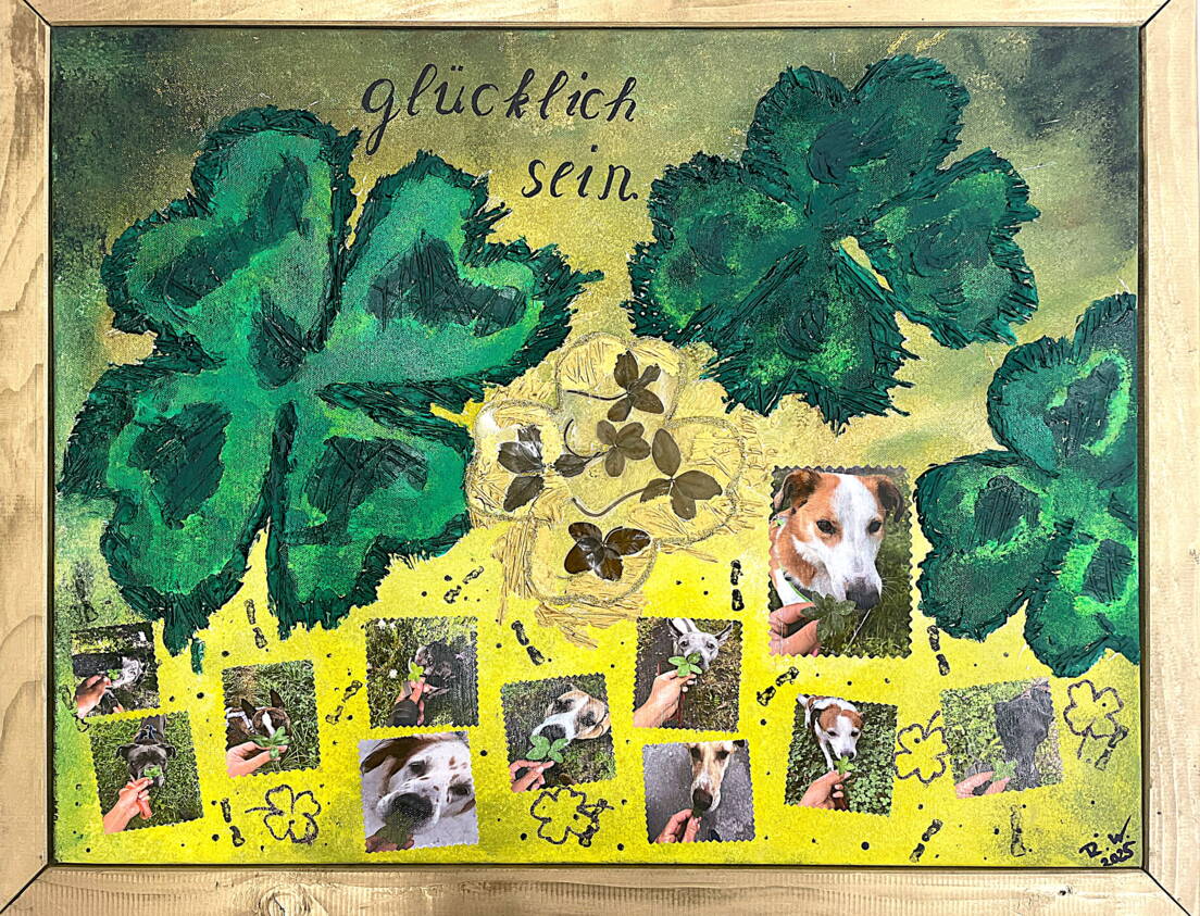 img_9032.jpg img_9032.jpg