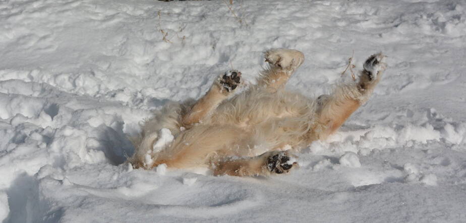 Winterzeit Winterzeit