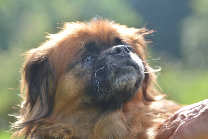 dsc_4510.jpg dsc_4510.jpg